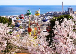 【ひと足早く 桜巡り】遊びとセットのかみねの桜・日立（茨城・日立市）   