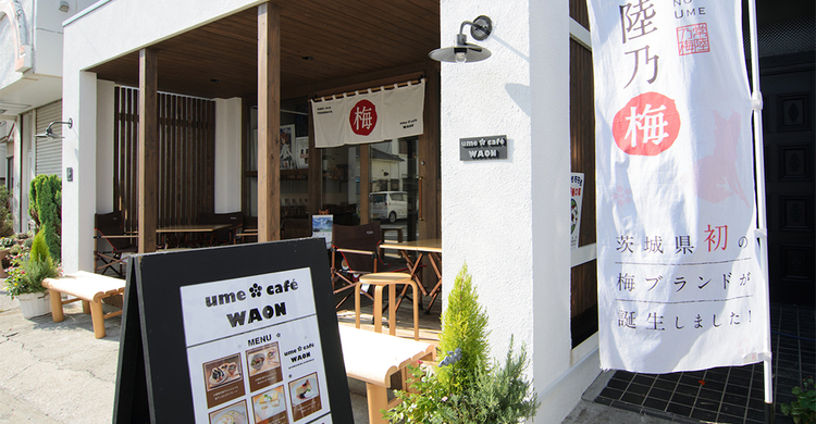 ウメカフェ１０周年　ウメ・カフェ・ワオンで７日にイベント（茨城・大洗町）