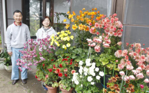 初挑戦のラックス見頃 妻の笑顔が見たくて一念発起(茨城・神栖市)