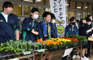農業科生徒が花苗販売　鉾田二高生　地元ＪＡ直売所で（茨城・鉾田市）