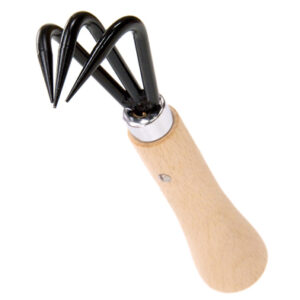 「シバクイーン」説明、販売会 「パッション飛田」がジョイフル本田で18・19日(茨城・ひたちなか市)