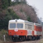 かしてつを考える記念展　写真約１００点など　6月に小川文化センター（茨城・小美玉市）