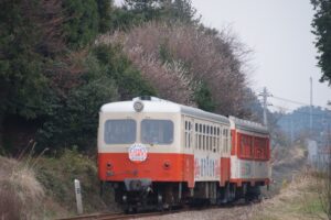 かしてつを考える記念展　写真約１００点など　6月に小川文化センター（茨城・小美玉市）