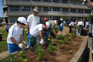 児童と地域で花壇に花植え　大同西小学校（茨城・鹿嶋市）