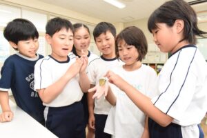 【梅雨点景】 学びやでオオムラサキ羽化　緒川小（茨城・常陸大宮市）