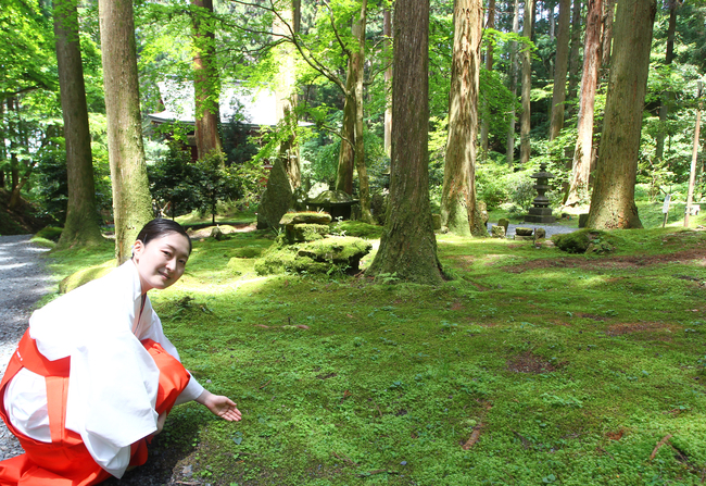 【茨城再見聞】パワースポットの裏名所は緑の名所　御岩神社のコケ（茨城・日立市）