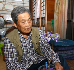 ジャカランダ開花(茨城・那珂市)