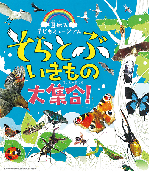 「そらとぶいきもの大集合！」　市立博物館で２０日～（茨城・水戸市）