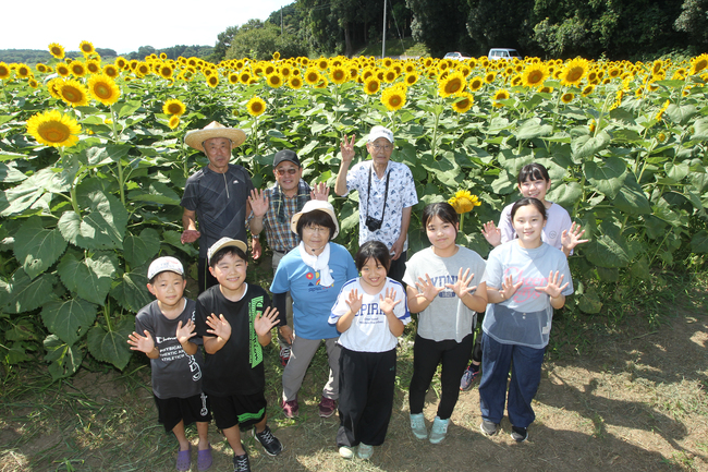 僕より大きなヒマワリ、見に来て　上雨ヶ谷ひまわりプロジェクト（茨城・茨城町）