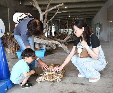 動物と間近にふれあえる　霞ケ浦どうぶつとみんなのいえ（茨城・行方市）