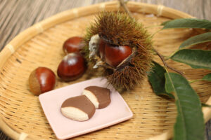 ソフトクッキー「おちぼ栗」 グリュイエール(茨城・笠間市)