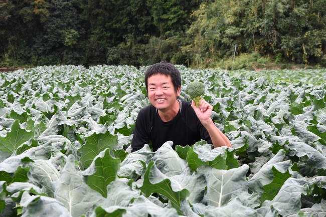 寒さが甘みをプラス　野菜農家のブロッコリーサラダ（茨城・那珂市）