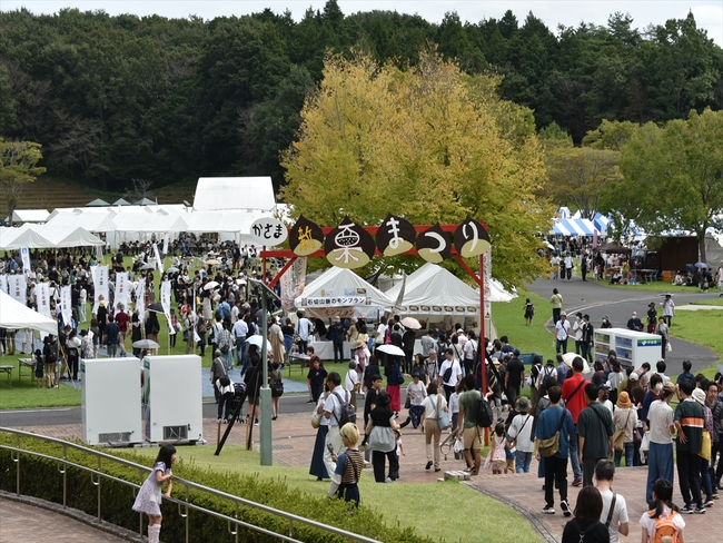 栗満載 「かさま新栗まつり」　笠間芸術の森公園で６日まで（茨城・笠間市）