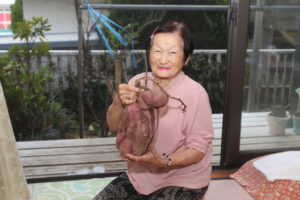 2・5kgの合体イモ(茨城・日立市)