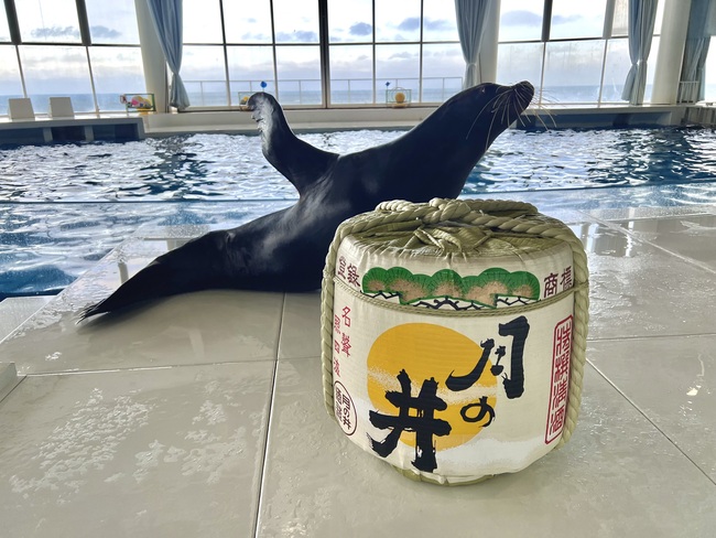 ３年ぶり 「宴夜」  水槽の前で地酒を楽しむ　アクアワールド県大洗水族館で２６日（茨城・大洗町）