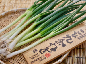 全国ねぎサミット 市民会館ほかで30日と1日(茨城・水戸市)