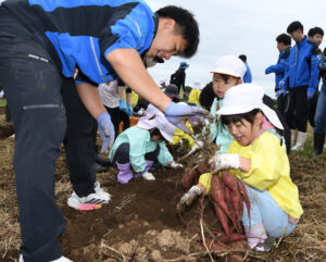 鉾二生 園児と収穫作業(茨城・鉾田市)