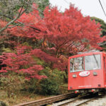 ケーブルカーで紅葉狩り　見頃は11月中旬～１２月初旬　筑波山（茨城・つくば市）
