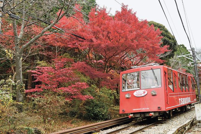 ケーブルカーで紅葉狩り　見頃は11月中旬～１２月初旬　筑波山（茨城・つくば市）