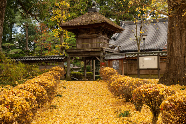 室町から紡がれた秋景　見頃は11月中旬～下旬　高徳寺（茨城・大子町）