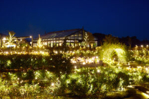 心あたたまるイルミイベント 「いばらきフラワーパーク」(茨城・石岡市)