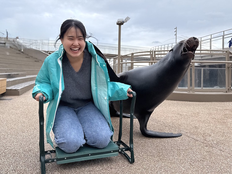 アシカが元気注入！　アクアワールド県大洗水族館 ２４日から（茨城・大洗町）