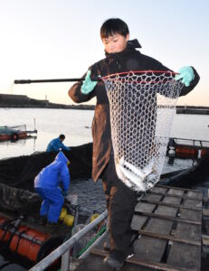 「常陸乃国まさば」 出荷開始 那珂湊漁港で昨年暮れから(茨城・ひたちなか市)