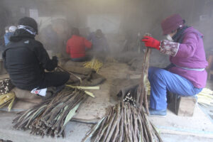 冬の風物詩の表皮取り 和紙の原料のコウゾの皮むき(茨城・大子町)