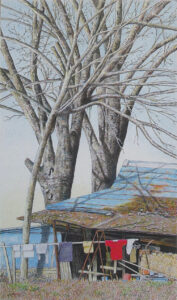 めくるめく色鉛筆の世界 「かつらぎ画廊」(茨城・北茨城市)