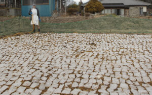 伝統の凍みこんにゃく作り (茨城・常陸太田市)