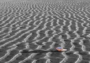 ひたちなか市写真連盟展　那珂湊支所で3月（茨城・ひたちなか市）