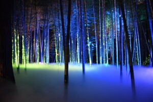 歴史を経て浮かび上がる夜の姿 偕楽園で開催中 「偕楽園UME The Lights」(茨城・水戸市)