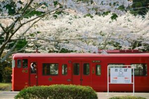 ゆる鉄写真家・中井さん展 日動美術館で15日から(茨城・笠間市)