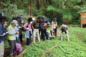 森林インストラクターと観察会　御前山で２６日　参加者募集（茨城・常陸大宮市）