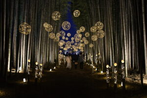 真竹の群生林がアート空間に　４月１３日まで開催中　 辰ノ口親水公園（茨城・常陸大宮市）