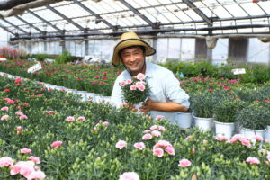 カーネーション栽培に大忙し　大内園芸　母の日に向けて（茨城・常陸太田市）