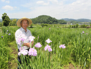 休耕田がハナショウブの園に　リタイア後に一念発起　近年はホタルも（茨城・大子町）