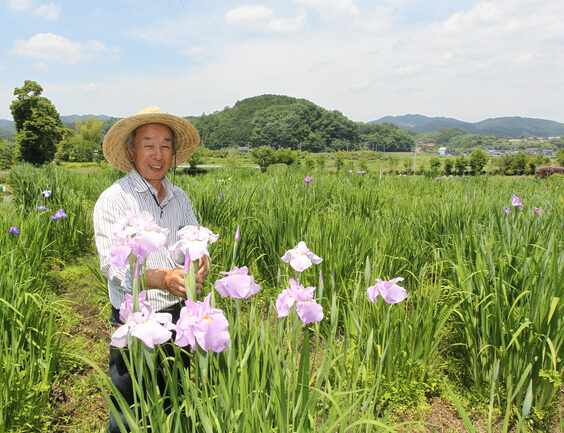 休耕田がハナショウブの園に リタイア後に一念発起 近年はホタルも(茨城・大子町)