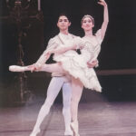 「ハレルヤバレエ」５０周年発表会　市民文化会館で２０日　眠れぬ森の美女全幕上演（茨城・ひたちなか市・水戸市）