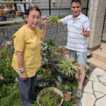 物干し台から赤い花　軽部さん宅　「こんなことが！」（茨城・日立市）