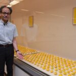 市立博物館企画展「いま、戦争を語るということ」　タンポポと鉛の板が伝えるものは（茨城・水戸市）