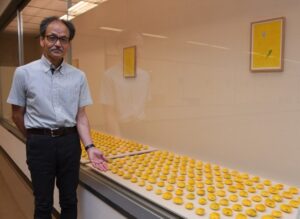 市立博物館企画展「いま、戦争を語るということ」　タンポポと鉛の板が伝えるものは（茨城・水戸市）