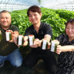 大葉の万能調味料　農家と飲食店が共同開発（茨城・鉾田市）