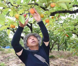 神栖の鈴木さんネコ画展 はまなす公園ギャラリー（茨城・鹿嶋市