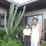 鰐川の飯塚さん宅  のっぽサボテンは表札代わり