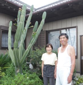 鰐川の飯塚さん宅  のっぽサボテンは表札代わり