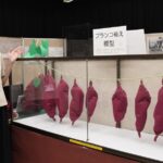 「サツマイモの神様展」市歴史民俗資料館 ３０日まで　那珂台地の産地化に尽力した白土松吉の功績を紹介