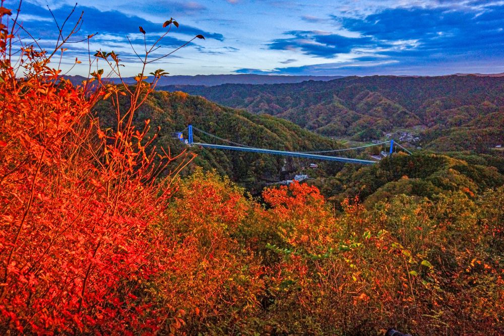 紅葉とイベントの写真