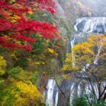 茨城県県北地区の紅葉の名所先取りガイド　袋田～竜神常～花貫ほか（茨城・大子、常陸太田、北茨城、高萩）