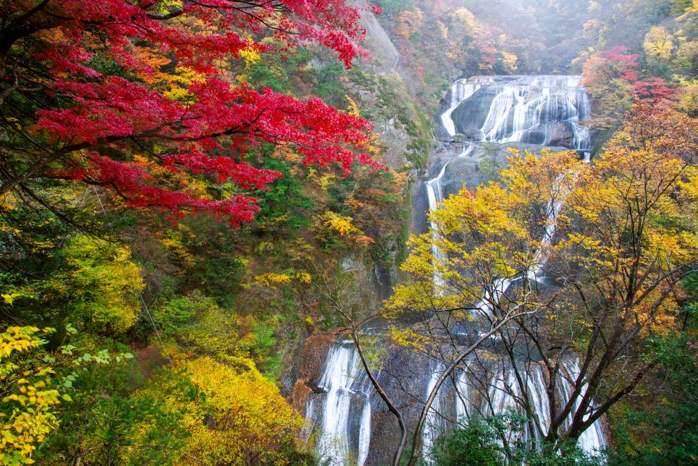 茨城県県北地区の紅葉の名所先取りガイド　袋田～竜神常～花貫ほか（茨城・大子、常陸太田、北茨城、高萩）